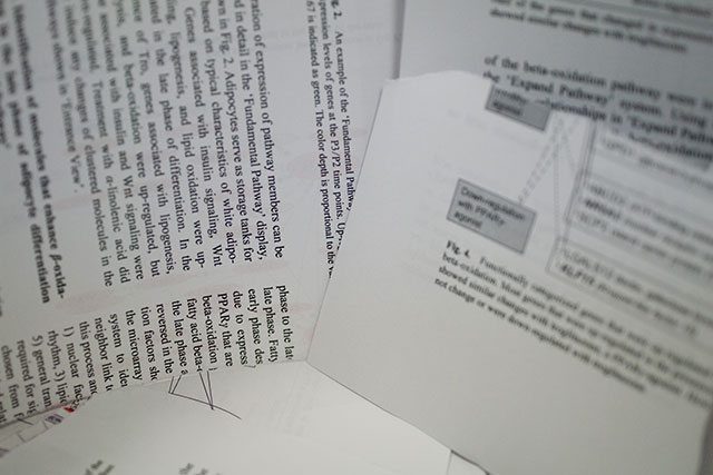 裁判資料翻訳事例「弁護士事務所」「タイ語 ⇒日本語」＋PDF編集　